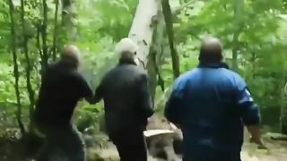 funny videos