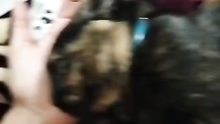Funny animals videos 2023?-can't stop laugh — From a kitten world