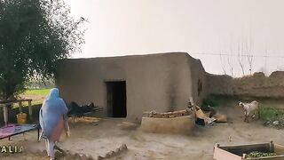 Budhi Ashiq 2 Alia Malik Maan ji Team