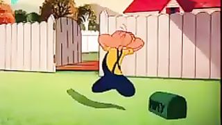 Ant fight whith papa