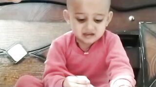 funny videos