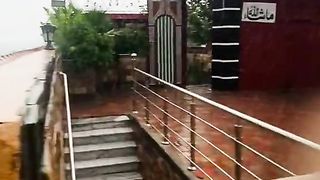 Rine video