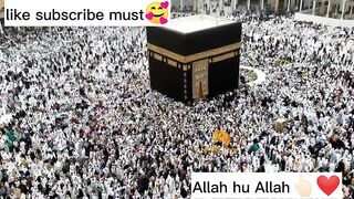 Allah hu Allah | Beautiful Hammad | Masood asif