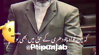 Imran khan tigger