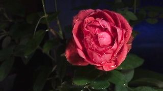 Great smooth and relaxation music of all time