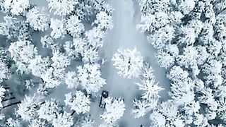Beauty of Nature