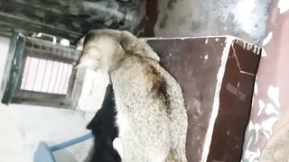 My catu warming her self