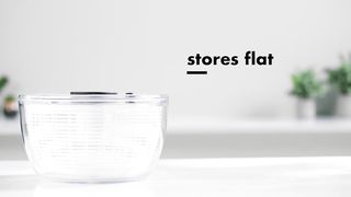 Large Salad Spinner for Everyone Home