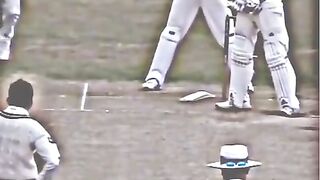 Cricket tik tok vedio