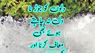 Hazrat Ali Quotes