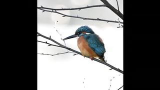 a few hours spent at Blashford lakes, good to see the sunshine again