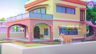 Billi krti meow meow