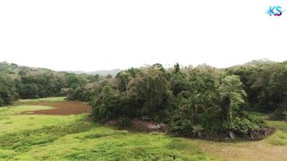 Beautiful relaxing nature | Beautiful scenery | With music