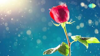 Humein Tumse Pyar song with lyrics