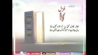 2Line Urdu Poetry|My Poetry|Urdu Ghazal|Humesha phool Tahni par Tarotaza nahean rahta