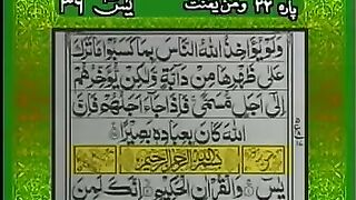 Surat yaseen with urdu translation..