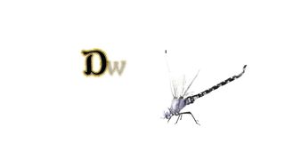 DENGUE BUKHAAR