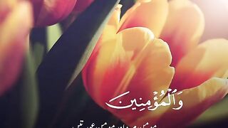 Moman mard or momin ourtien