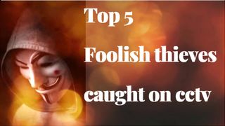 TOP 5 Foolish Thieves caught on camera. Foolish thieves caught on CCTV