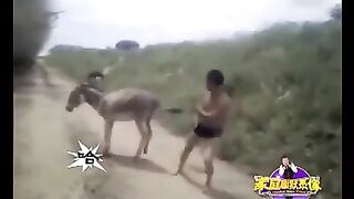 Fight with Donky