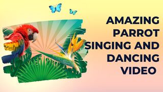 Amazing Parrot Singing And Dancing Video|Parindo Ki Nachne Or Gane Ki Video