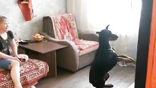 YOU GO INTO THE ROOM AND THERE