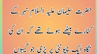 Allah tala har gaga apni mukhlooq ko riziq deta hai/ allah sab say bara raziq hai Amanat ali pak/
