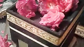 Haq da imam whatsapp status sadaf urdu poetri official