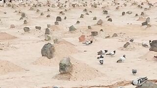 Jannat ul Baki Grave Yard Madinah Al Munawarah Saudi Arabia