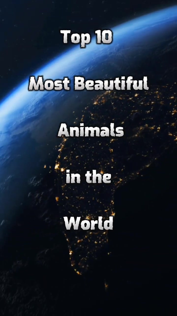 Top 10 Most Beautiful Animals In The World