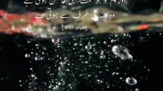 مولانا طارق جمیل کا بیان