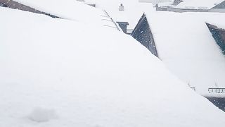 Fresh snow fall in kashmir
