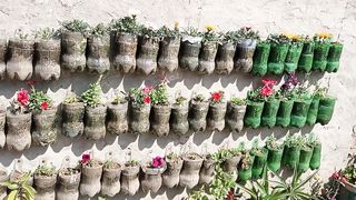 Gardening Is My Passion