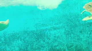 Reef Cam | Magical Aquarium Calm | Underwater Relax | Coral Fish Colorful Sea Life #kids#coral#reef
