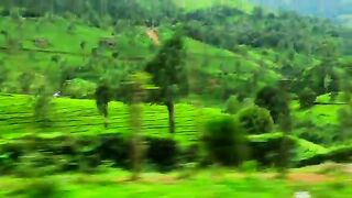 Beautiful Vedio