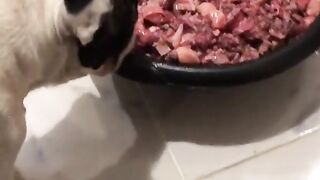 Is that all for me