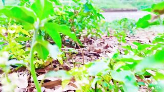 My Vlog Video | Village Nature video | Village life in Pakistan