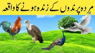 Hazrat Ibrahim A.S Aur 4 Parinday Jo Marnay K Baad Zinda Ho Gae