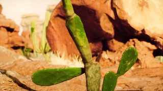 Animated Background
