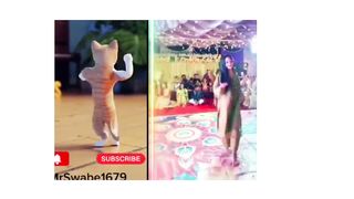 super dance