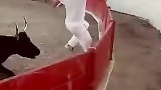 Bullfighting