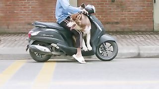 Smart_Dog_-_Gia_Đình_Kem_Kem_Tập_9.