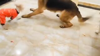 Size doesn't matter