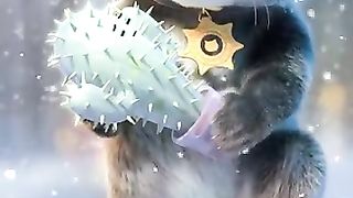 Beuty full.cat and animals video#cat #dog????????