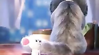 Beuty full.cat and animals video#cat #dog????????