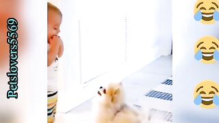 Top Funny Cats and Dogs Videos Compilation 2023 | Try not to laugh