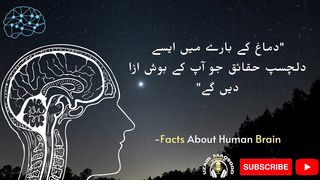 18 Interesting Facts About Human Brain #humanbrain