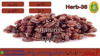 Munakka || منکہ || मुनक्का ||  Munaqqa || Hakeem Ali Waqas || Jari Botiyan || Herbs || ayurveda