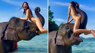 Unique Funny Videos