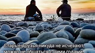 Старые друзья